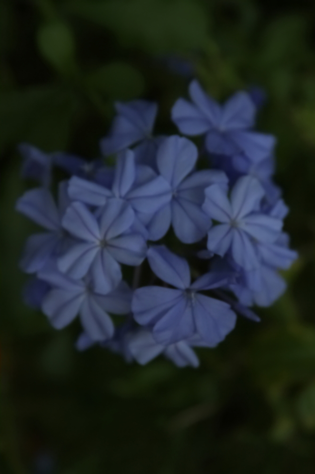 20090907 189